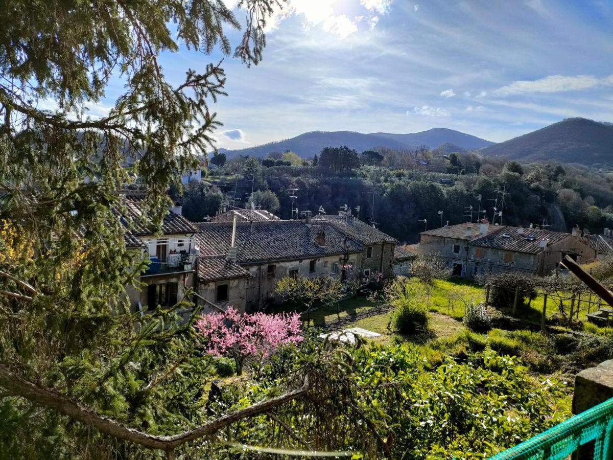 Villa Lante Viterbo Apartment Εξωτερικό φωτογραφία
